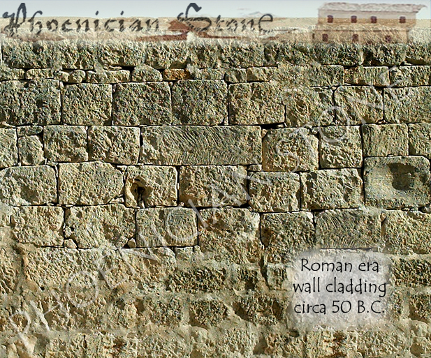 Roman Sea Stone© Reclaimed Wall Cladding (2000 years old)